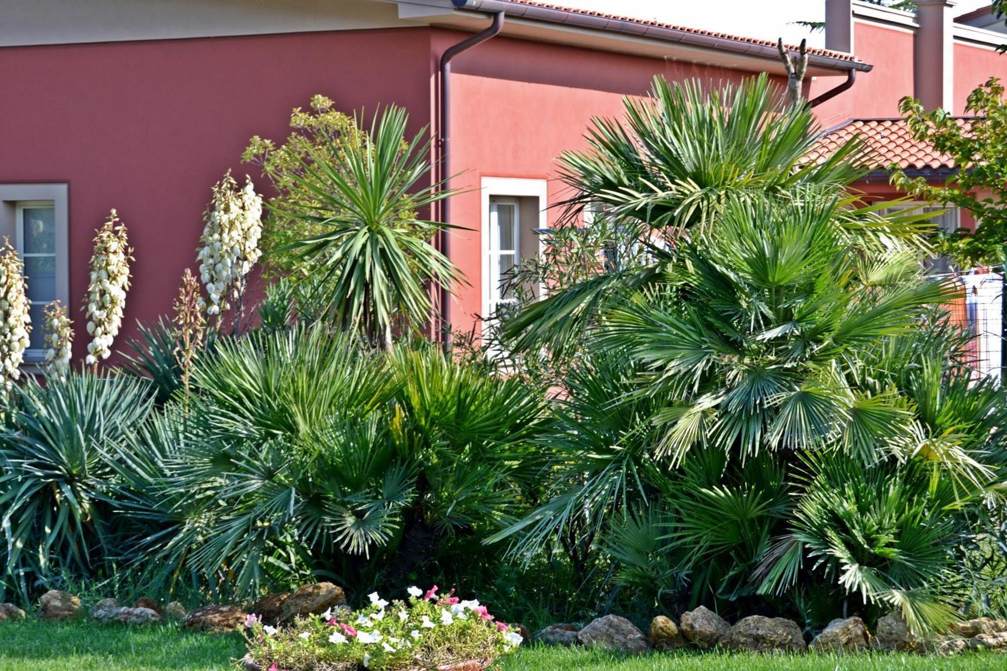 Cevoli Country Resort Lari Exterior foto