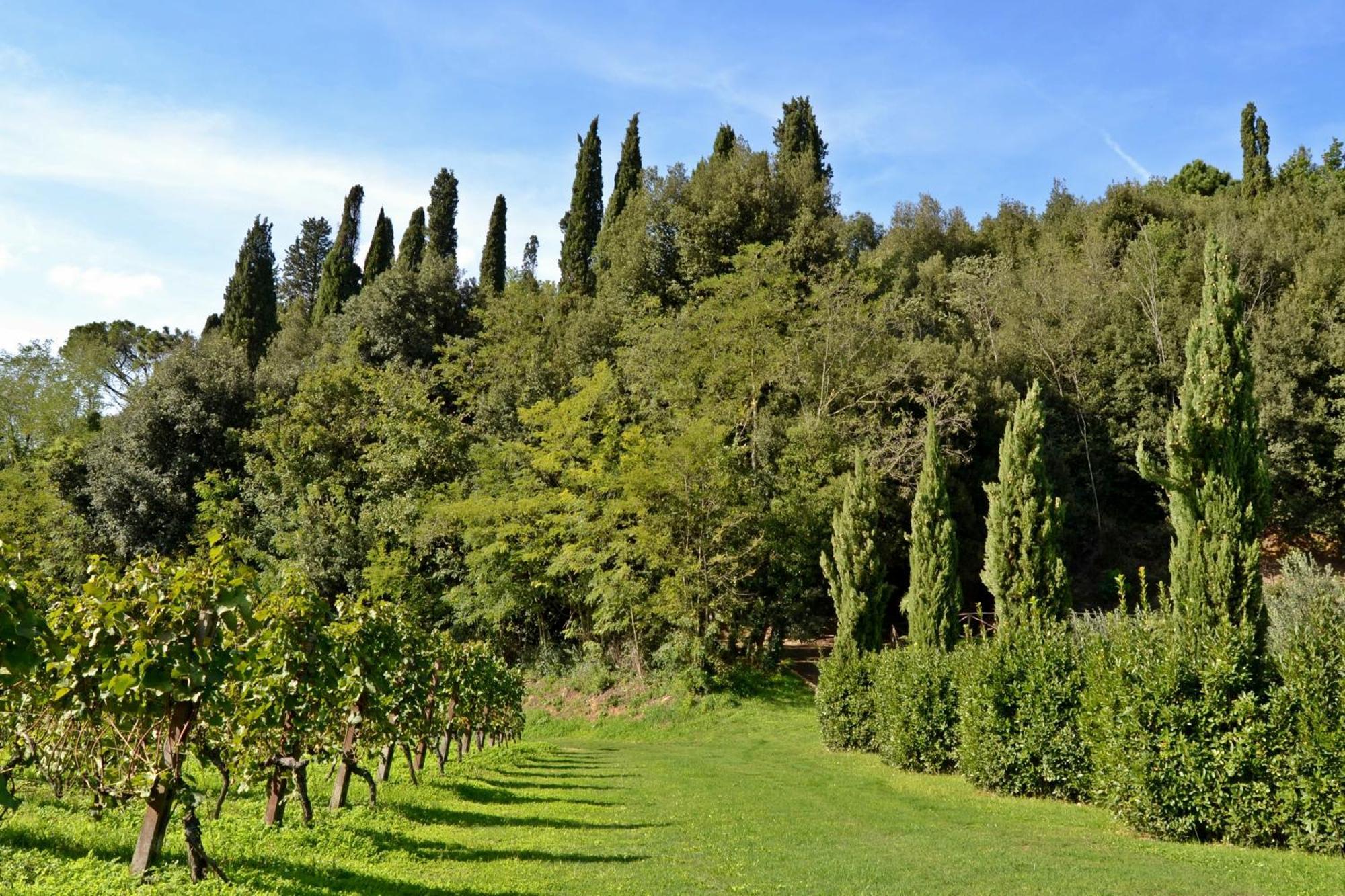 Cevoli Country Resort Lari Exterior foto